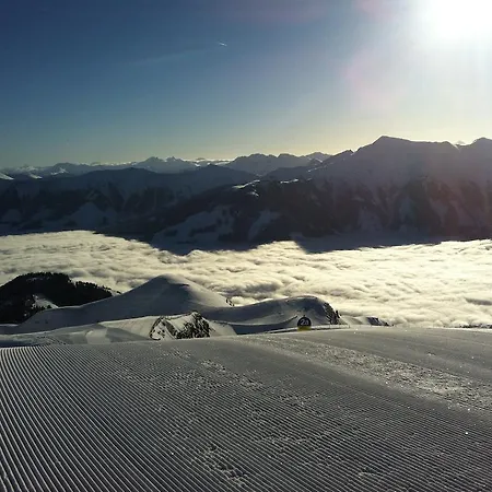 Hartl, Haus アパート *