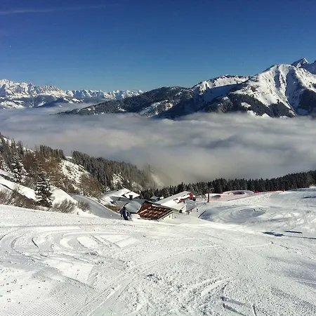 公寓 豪斯哈特尔酒店 劳里斯