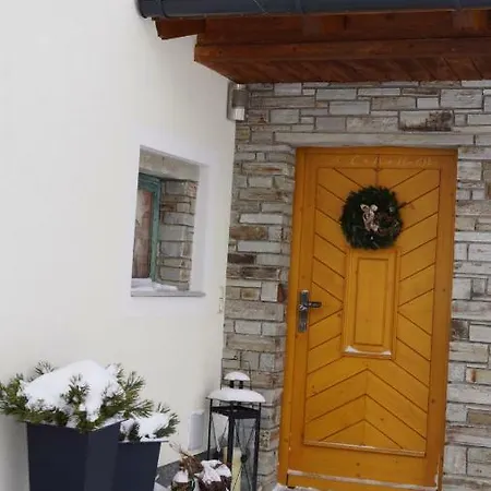 Hartl, Haus アパート *